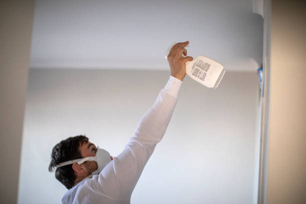 Best Fast Mold Removal  in Assumption, IL