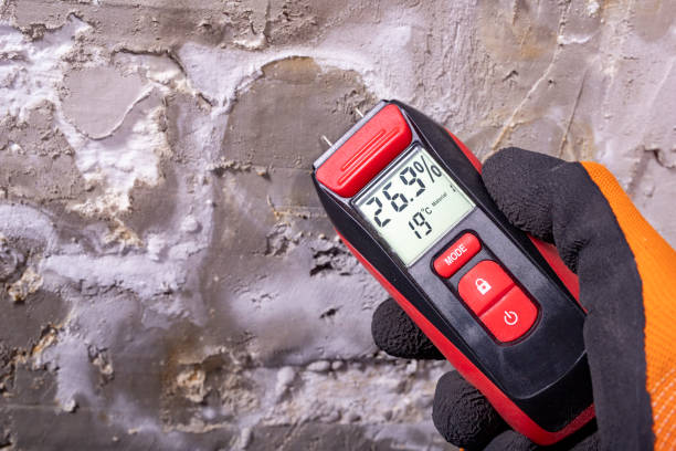 Best Mold Cleaning Services  in Assumption, IL