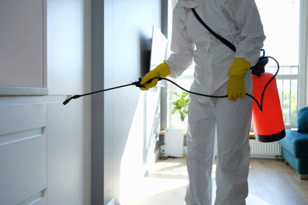 Best Professional Mold Removal  in Assumption, IL