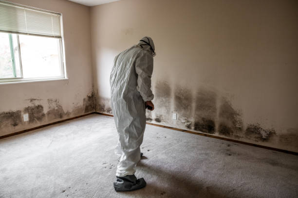 Best Residential Mold Removal  in Assumption, IL